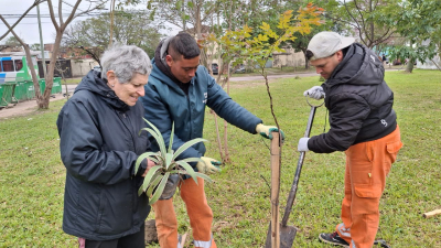 Tres árboles más en la ciudad por la conmemoración de la Reconquista