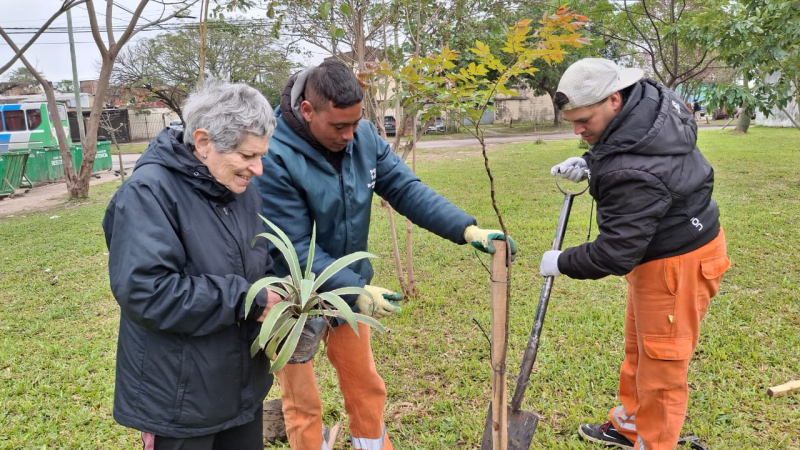 Tres árboles más en la ciudad por la conmemoración de la Reconquista