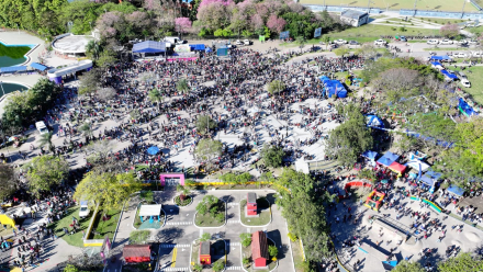 Festival en el Paraíso de los Niños (4)