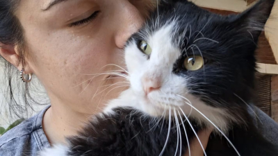 El gato se extravió en un vuelo de Resistencia a Bariloche y la familia todavía lo busca