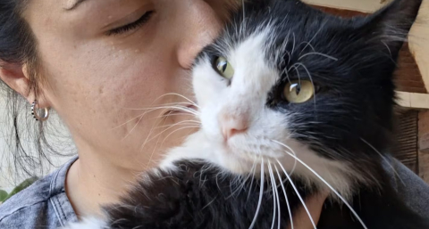 El gato se extravió en un vuelo de Resistencia a Bariloche y la familia todavía lo busca