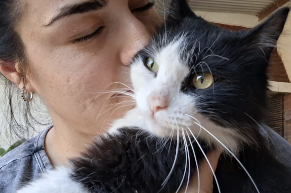 El gato se extravió en un vuelo de Resistencia a Bariloche y la familia todavía lo busca