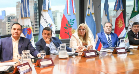 Con delegación diezmada, el Chaco participa en el Parlamento del Norte Grande