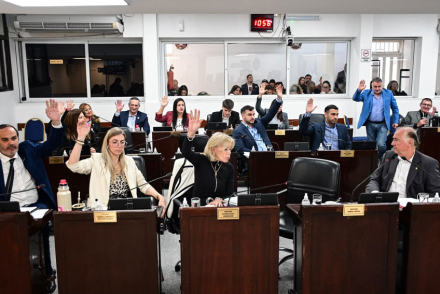 diputados