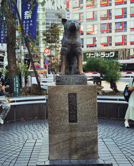 Hachiko1