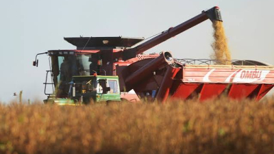 La economía registró la mayor caída mensual desde la pandemia