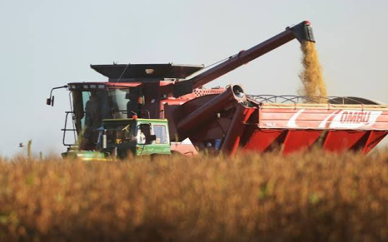 La economía registró la mayor caída mensual desde la pandemia