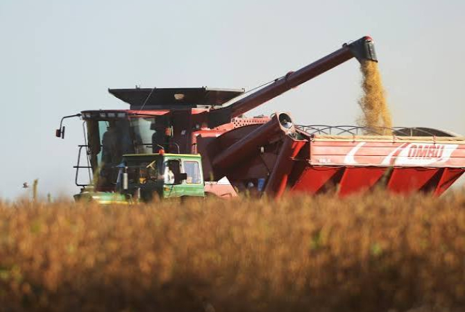 La economía registró la mayor caída mensual desde la pandemia
