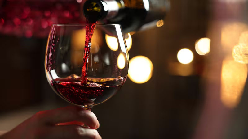 Un vino argentino fue elegido el mejor tinto del mundo