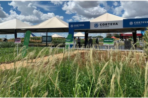 Convocatoria campaña 2026 / 2027 de Corteva Seeds Argentina SRL
