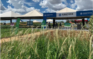 Convocatoria campaña 2026 / 2027 de Corteva Seeds Argentina SRL