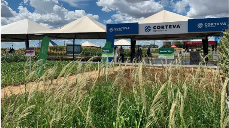 Convocatoria campaña 2026 / 2027 de Corteva Seeds Argentina SRL