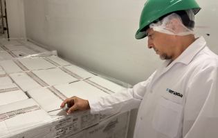 El pacú chaqueño conquista Estados Unidos con un nuevo envío de más de 8,6 toneladas