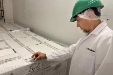 El pacú chaqueño conquista Estados Unidos con un nuevo envío de más de 8,6 toneladas
