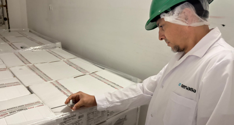 El pacú chaqueño conquista Estados Unidos con un nuevo envío de más de 8,6 toneladas