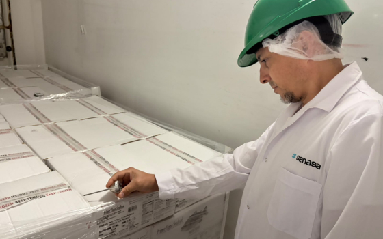El pacú chaqueño conquista Estados Unidos con un nuevo envío de más de 8,6 toneladas