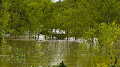 El Niño amenaza con lluvias y crecidas históricas en el Chaco