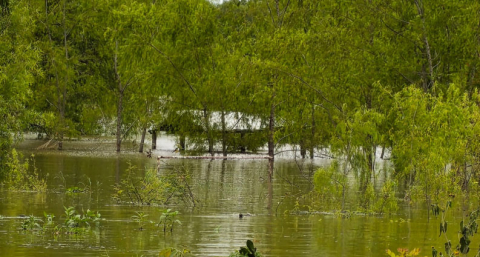 El Niño amenaza con lluvias y crecidas históricas en el Chaco