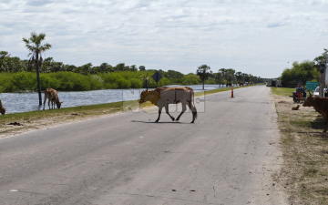 La creciente golpea a los vecinos de Puerto Vilelas