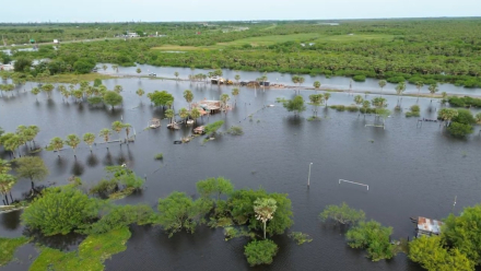CRECIENTE DRON