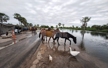 Cómo se vive la creciente del Paraná en localidades costeras del Chaco