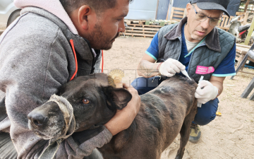 Cómo se vive la creciente del Paraná en localidades costeras del Chaco