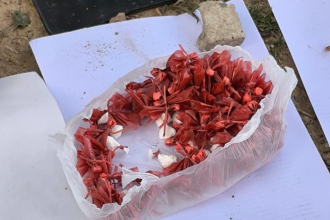 Cayó con más de 130 bochitas de cocaína tras un control de los motoristas