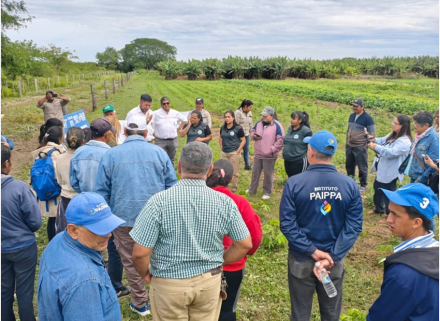 5--Las-capacitaciones-se-realizaron-en-chacras-de-productores-locales,-donde-se-busca-aplicar-los-conocimientos-técnicos-adaptados-a-las-condiciones-de-Formosa