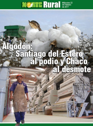 Algodón: Santiago del Estero al podio y Chaco al desmote