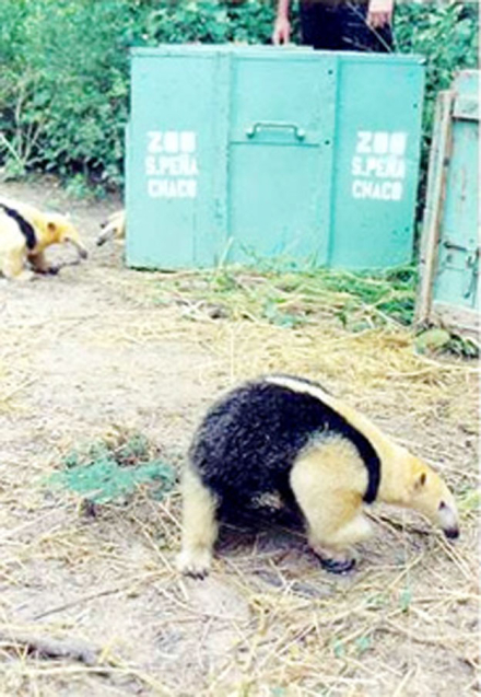 zoo2.jpg