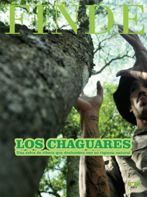 Los Chaguares