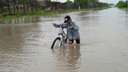 Caraguata inundado.jpg