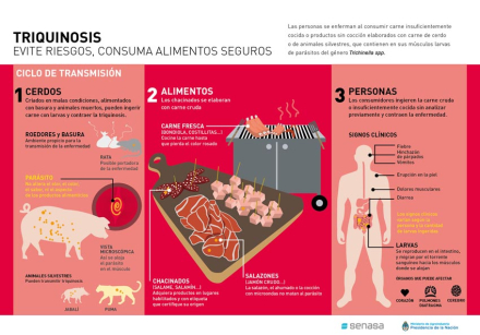 Triquinosis-infografia.jpg
