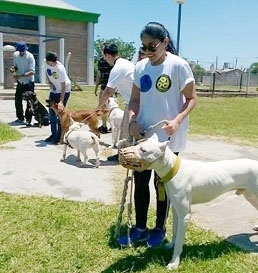 perros2.jpg