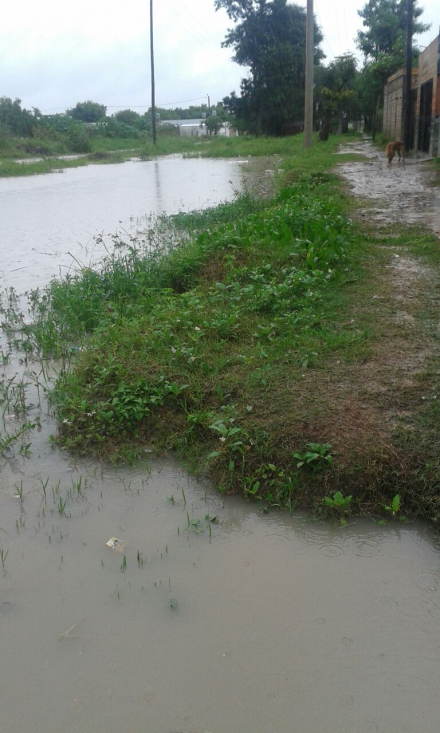 barrios01.jpg