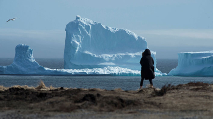 iceberg2.jpg
