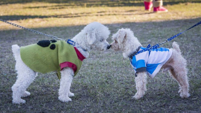 Un espacio para generar conciencia y compromiso en el cuidado de animales