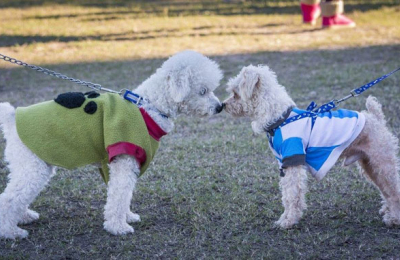 Un espacio para generar conciencia y compromiso en el cuidado de animales
