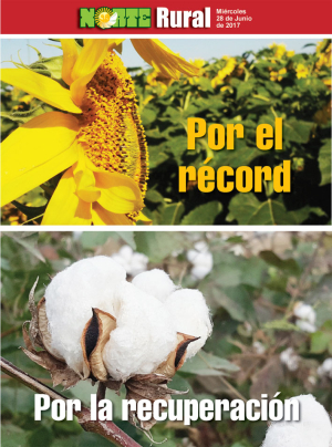 Por el record