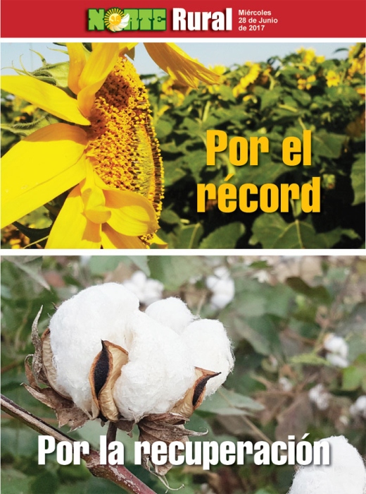 Por el record