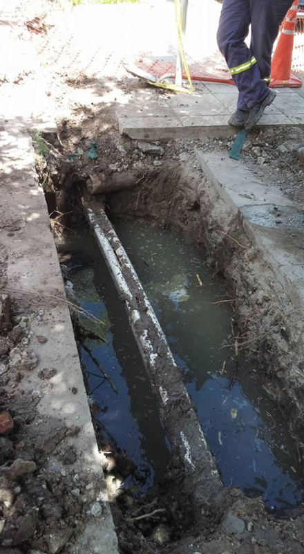 vereda2.jpg