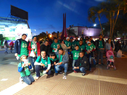 Proyecto Sur peatonal.jpg