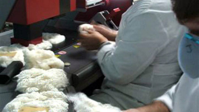 Fuerte apuesta del INTA con su Laboratorio de Fibra de Algodón