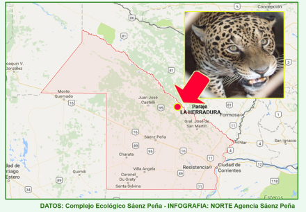 infografia-yaguarete.jpg