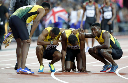 Bolt equipo.jpg