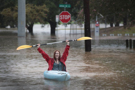 harvey6.jpg