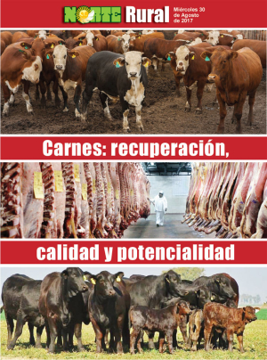 Carnes: recuperación, calidad y potencial