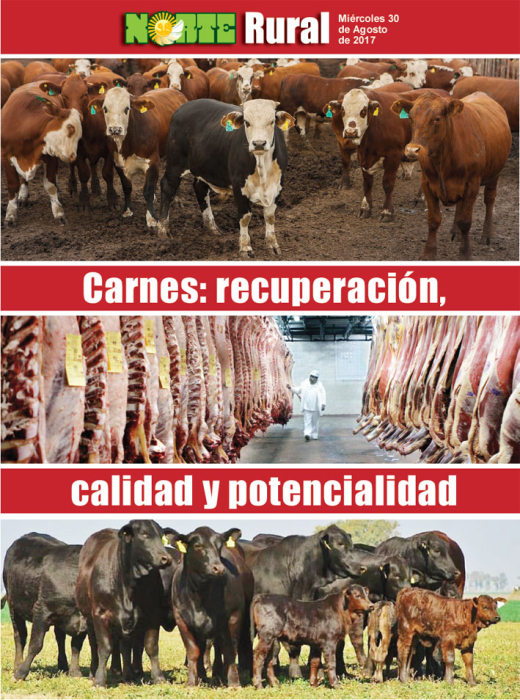 Carnes: recuperación, calidad y potencial