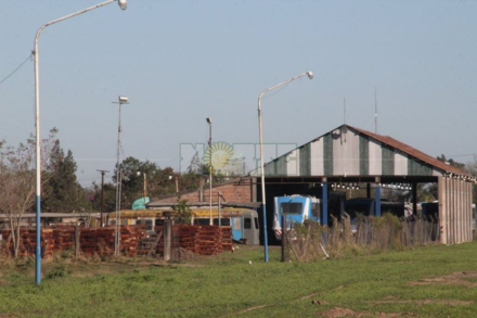 trenes.jpg