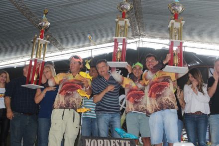 Equipo_2_puesto.jpg